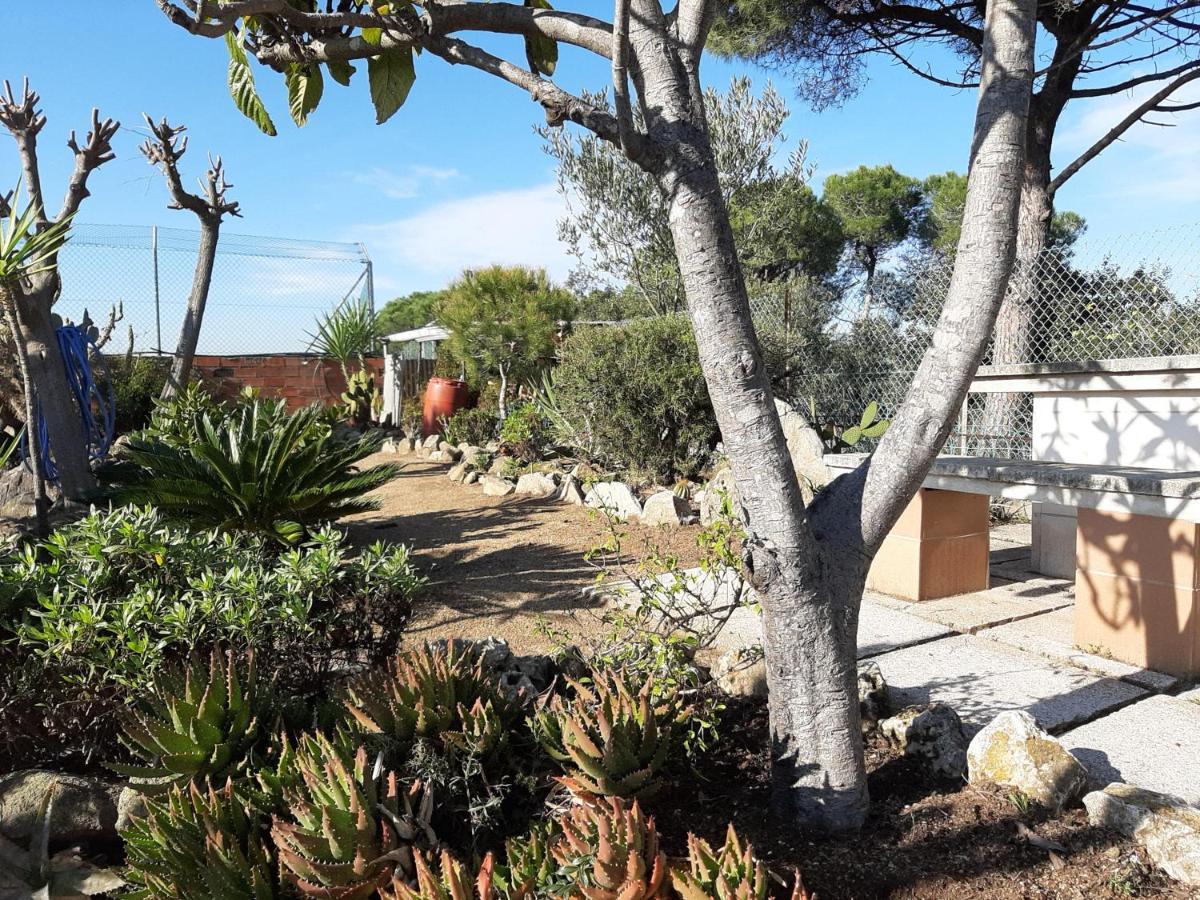 Habitaciones en Villa Coliving Casa Rural Sant Fost de Campsentelles  Exterior foto